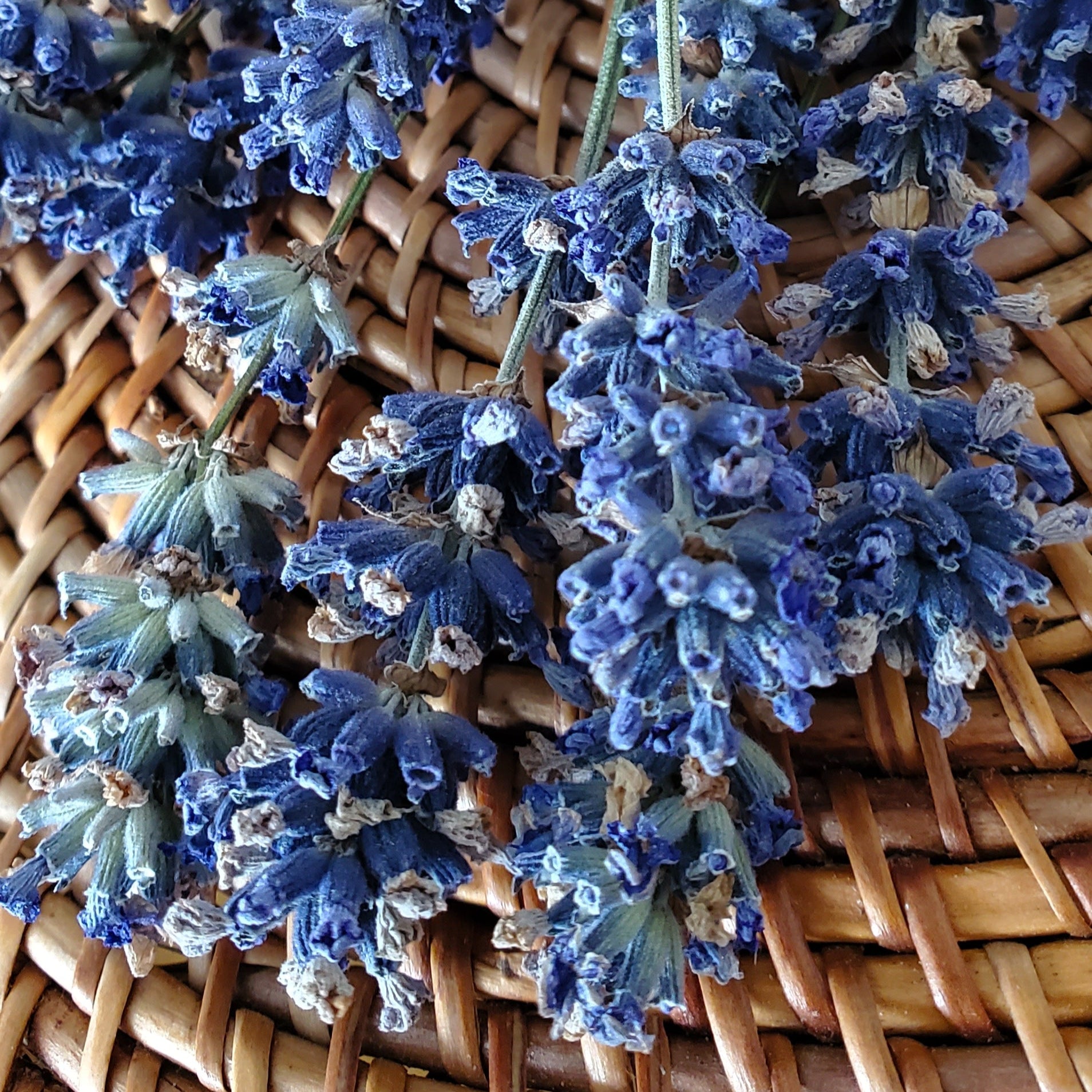 Bouquet of lavender flowers on a woven surface